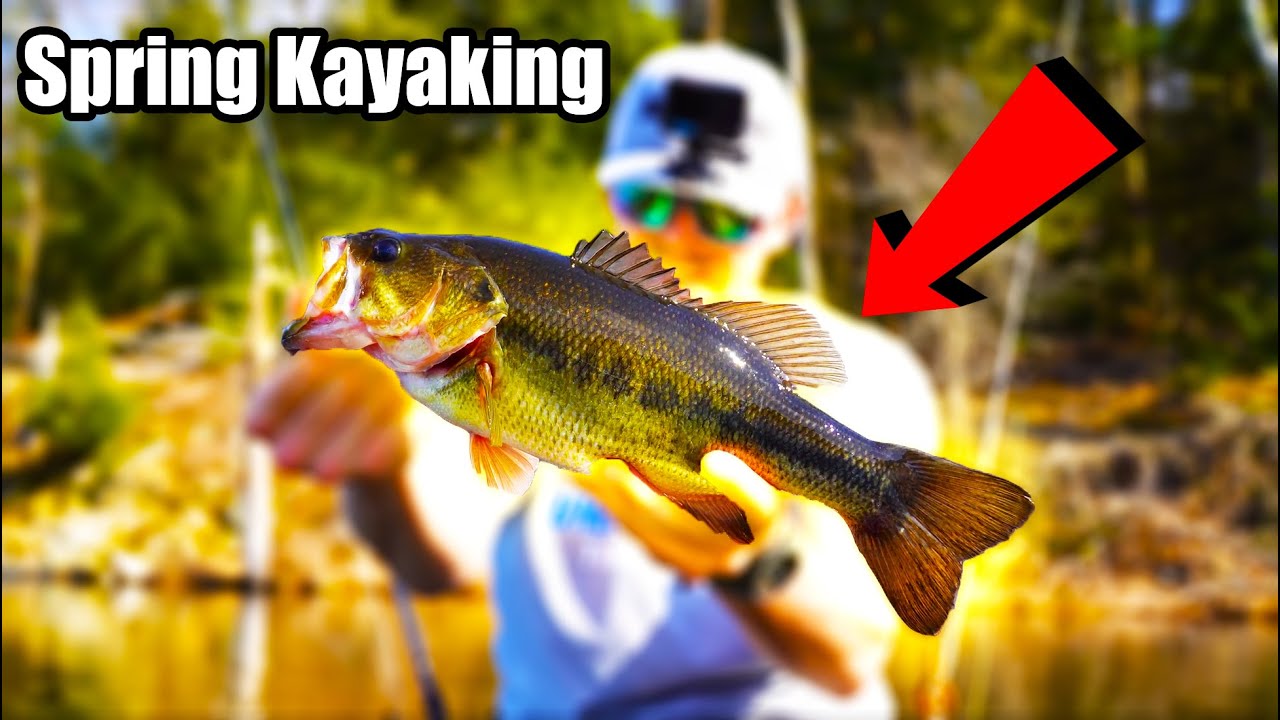 Catching BIG BASS in Early Spring (Kayak Fishing)
