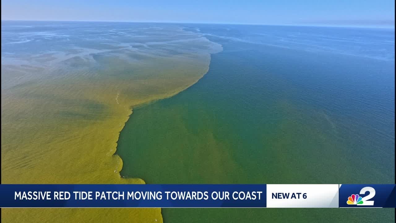 100-square-mile red tide bloom lurks off Southwest Florida coast