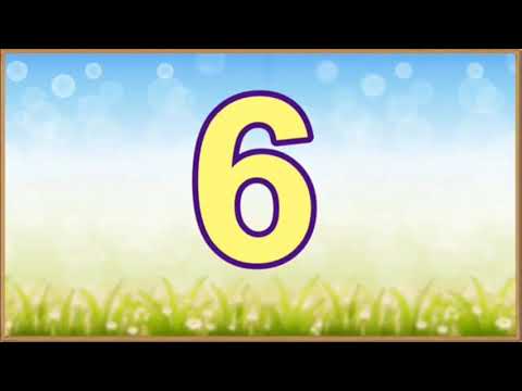 NUMERAIS: DO 1 AO 50