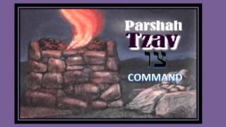 Saturday, March 26, 2016: Command (Tzav) Torah Portion Tzav Command 3 26 16