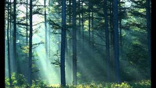 Henry David Thoreau - Walden aneb Život v lesích - 1. část