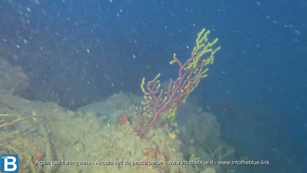 Ghost Fishing Nets - Reti fantasma - www.intotheblue.it - www.intotheblue.link