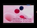 Реклама шампунь Шаума Суперфрукты & Питание 2011 год