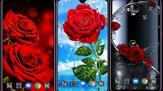 How to download || Red Rose wallpaper || #surajmaurya screenshot 3