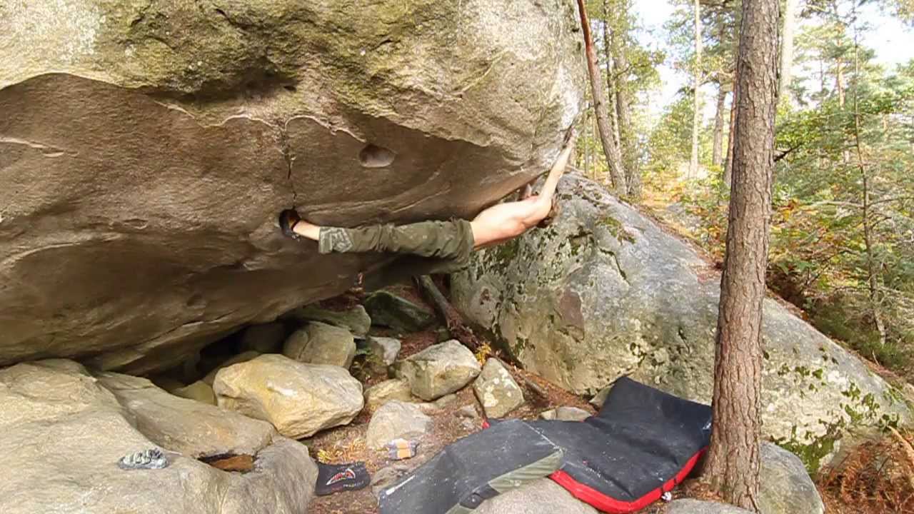 Robert Leistner & Julia Winter. Bleauimpressionenen.