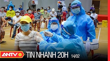 Tin Nhanh 20h Ngày 14/02: Cả Nước Đã Tiêm 186 Triệu Liều Vắc Xin | ANTV