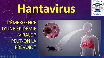 C'est quoi la maladie hantavirus