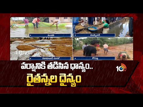 Heavy Rains | Montha Cyclone | వర్షానికి తడిసిన ధాన్యం..రైతన్నల దైన్యం | 10TV News - 10TVNEWSTELUGU