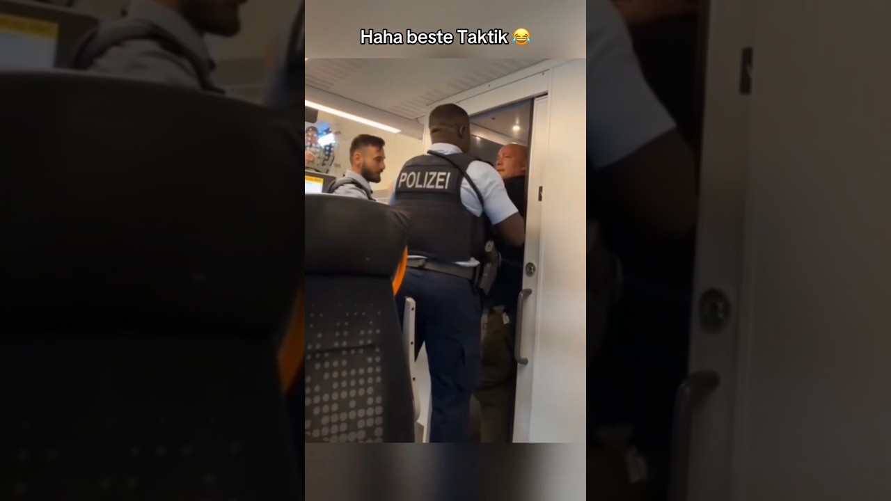 Wie manche Leute in Deutschland ohne Zugticket fahren 🚆 | Verstecken auf der Zugtoilette 