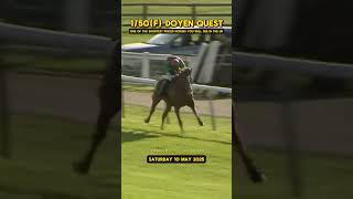 👀It's not often you see horses at 1/50 in the UK Like DOYEN QUEST at Warwick This Evening! Profile