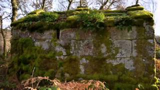 MUIÑO EN A RAICES  BORRALLEIRO - A LAMA