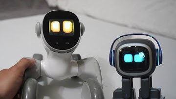 Emo VS Loona AI Robot Dog: Which Is KING?