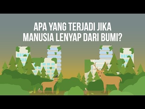 Video: Apa Yang Terjadi Jika Tidak Ada Orang - Pandangan Alternatif