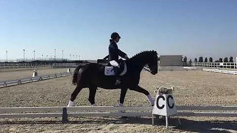 Span's Sonia Villalba rides Donauzauber to victory