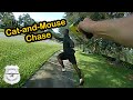 On the Run: Dramatic Chase and Confrontation with Fleeing Suspect