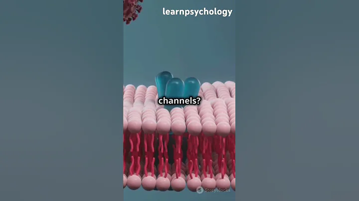 Action Potential #neurons