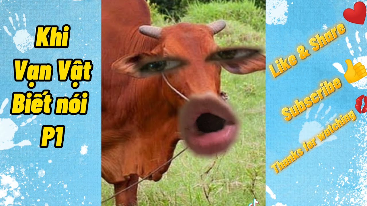di cong vien vinh long Update New Khi Vạn vật đều biết nói P1- Câu chuyện ăn cỏ (cre:Mình cá đuối) | TikTok official