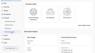 2 Accéder à l'éditeur de zone DNS pour programmer des emails avec OfficeStep