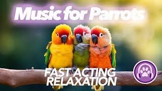 Magic Music for Parrots - EXTREMELY Relaxing 🦜 by PetTunes - Music for Pets 7,510 views 6 months ago 9 hours