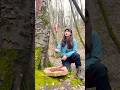 Camping ⛺ Survival Skill 🔥 Bushcraft #camping #bushcraft #survival #asmr #fire #diy