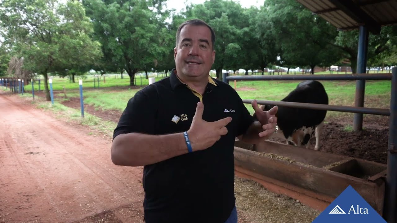 Semana do Zebu apresenta lives com foco nos leilões da 86ª ExpoZebu