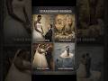 Weddings #edit #weddings