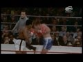 Ali's Dozen (Documentary about Ali's 12 greatest rounds)