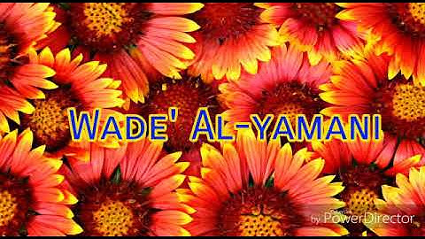 سورة القدر | مشاري العفاسي| وديع اليمني |ماهر المعيقلي