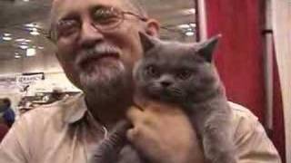 2008 All About Pets Canadian Cat Association Show 2008 All About Pets Canadian Cat Association Show