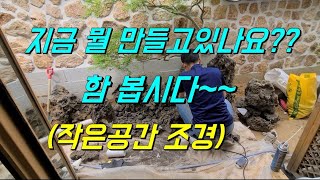 조경/작은공간조경/산수경/wild flower/bonsai/盆栽