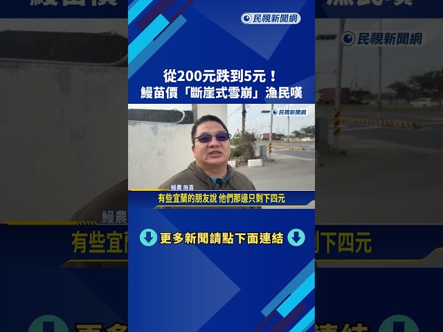 從200元跌到5元! 鰻苗價"斷崖式雪崩"漁民苦嘆－民視新聞