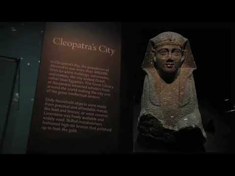 UC Alum Helped Bring Cleopatra to Cincinnati