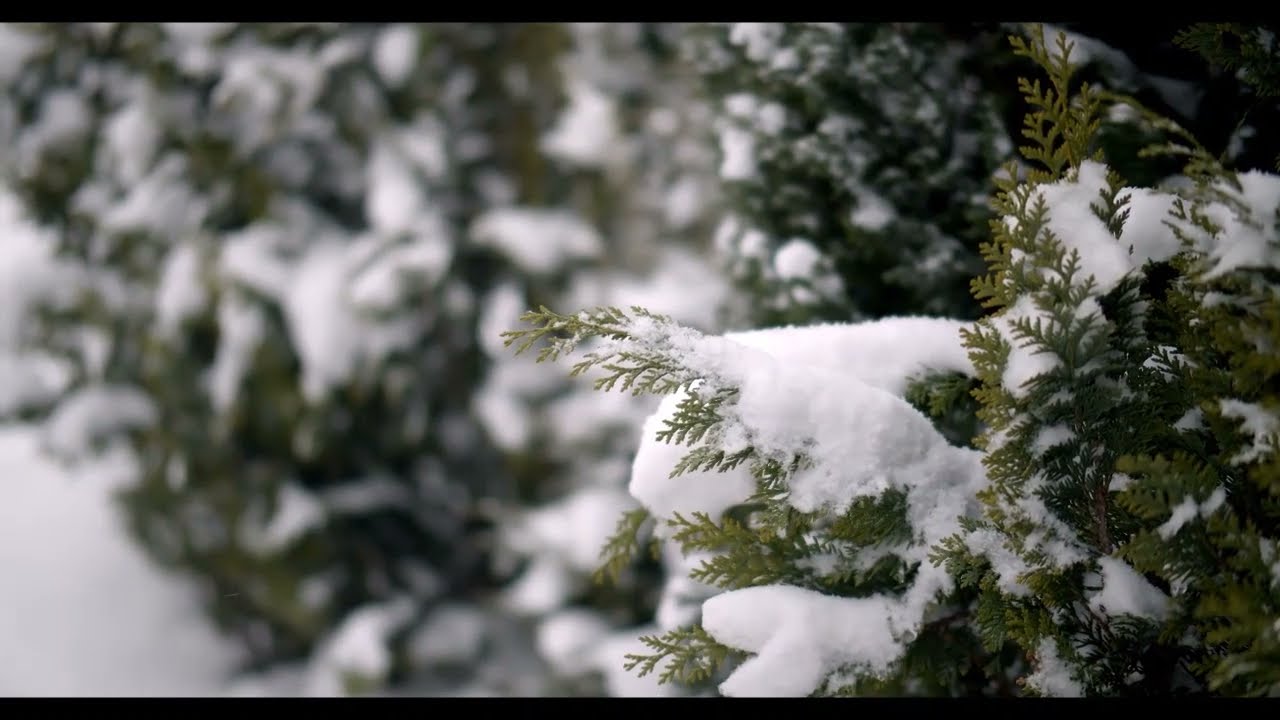 MEDITACIÓN DE INVIERNO / meditación guiada Izaskun Villanueva y Natalia Baztán