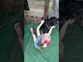 Good boy