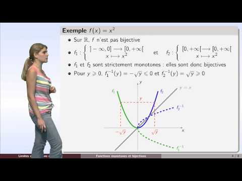 Vidéo: Comment Trouver Des Intervalles De Monotonie Et D'extremum