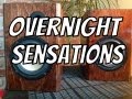 Overnight Sensations DIY Speaker Kit
