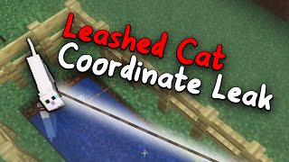 Revisiting 2b2t Tamed Animal Coordinate Exploit