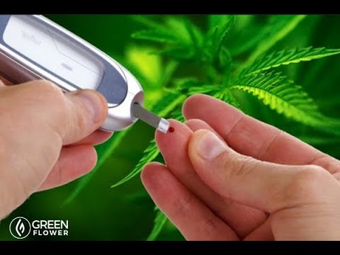 Using Cannabis to Treat Diabetes: Jessica Peters / Mara Gordon / Green Flower