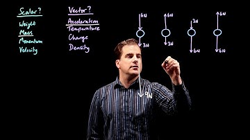 Scalars and Vectors.  IGCSE Physics Edexcel June 2017 Paper 2P Q1