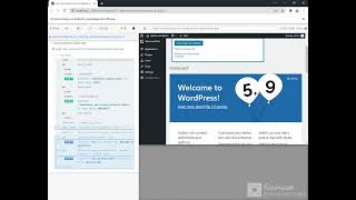 WordPress plugin Advanced Ads