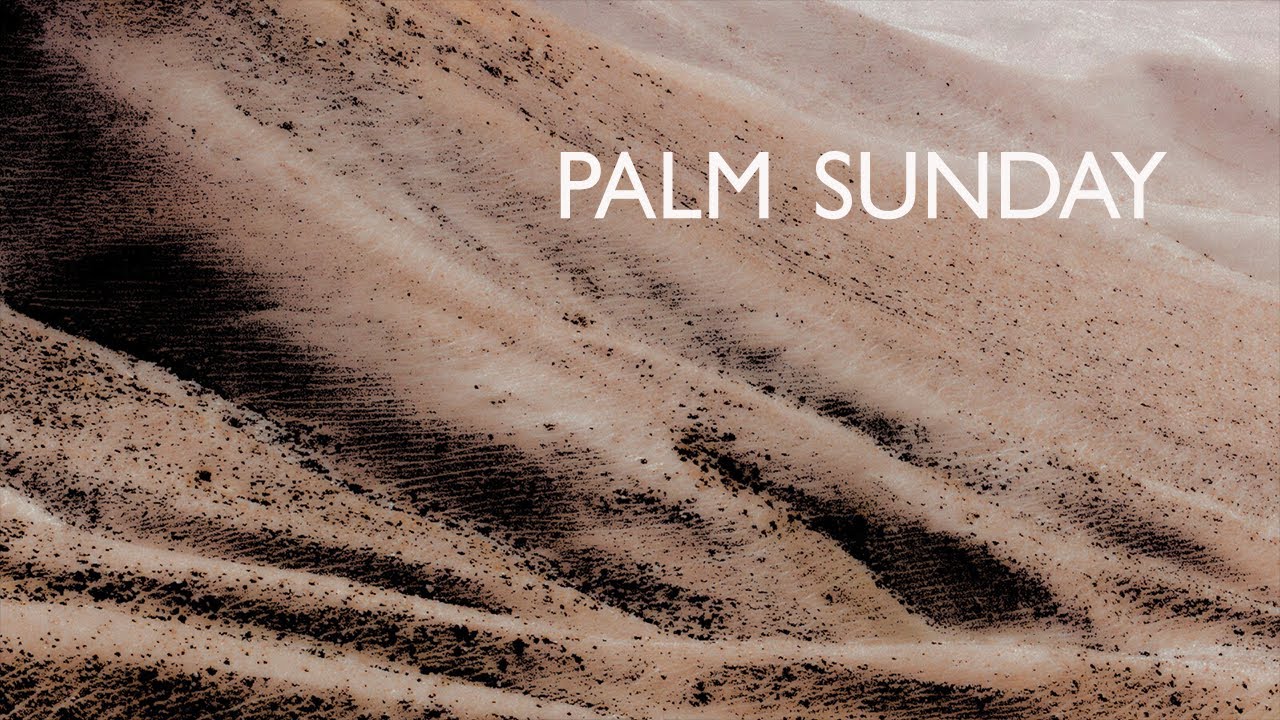 Dude, Where's My Donkey? // Nathan De Young