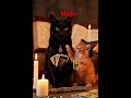 #magic