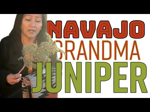 What Tribe Uses Juniper Ash