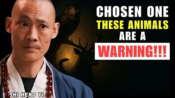 5 Animals That Appear During Your Spiritual Awakening (Don’t Ignore Them!)