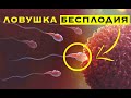 Ловушка бесплодия, о чем ты точно не знаешь