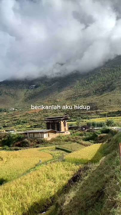 embun di pagi buta✨😋 #suscribe #liriklagu #mendingturu #music #storywa #tenang adem asik di denger😻😋