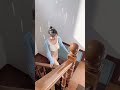 你猜穿了没|彼女は下着を着ていると思う|Guess she's wearing underwear