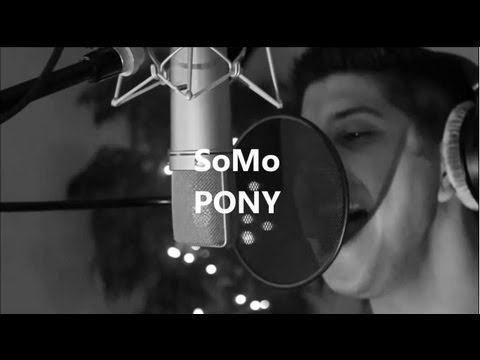 Ginuwine - Pony (Rendition) by SoMo