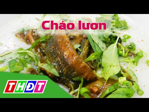 Hướng dẫn Cách nấu cháo lươn – THDT – Cháo lươn – Đặc sản miền sông nước