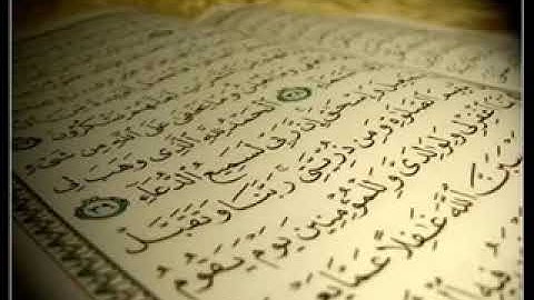 سورة الكافرون  صوت جميل